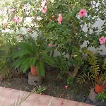 Fuer 2 Personen Und 4 By Interhome * Can Picafort (Mallorca)