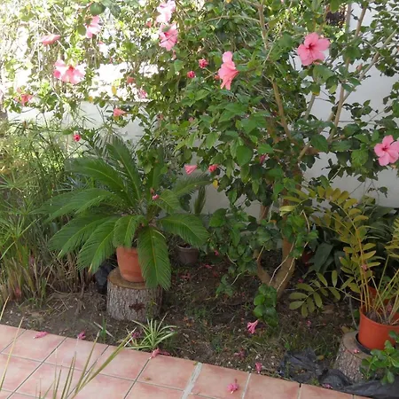 Fuer 2 Personen Und 4 By Interhome * Can Picafort (Mallorca)