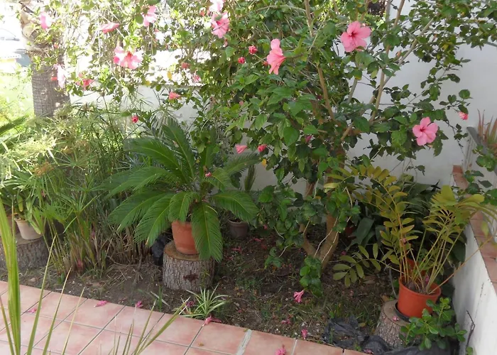 Fuer 2 Personen Und 4 By Interhome * Can Picafort (Mallorca)